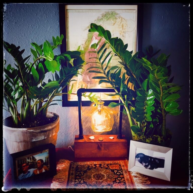 Why Choosing the Right Plants for Indoor Spaces Makes a More than a ...