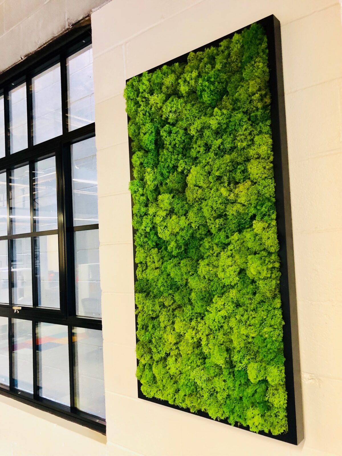 Why Moss, Why Now? | Fat Plant Society