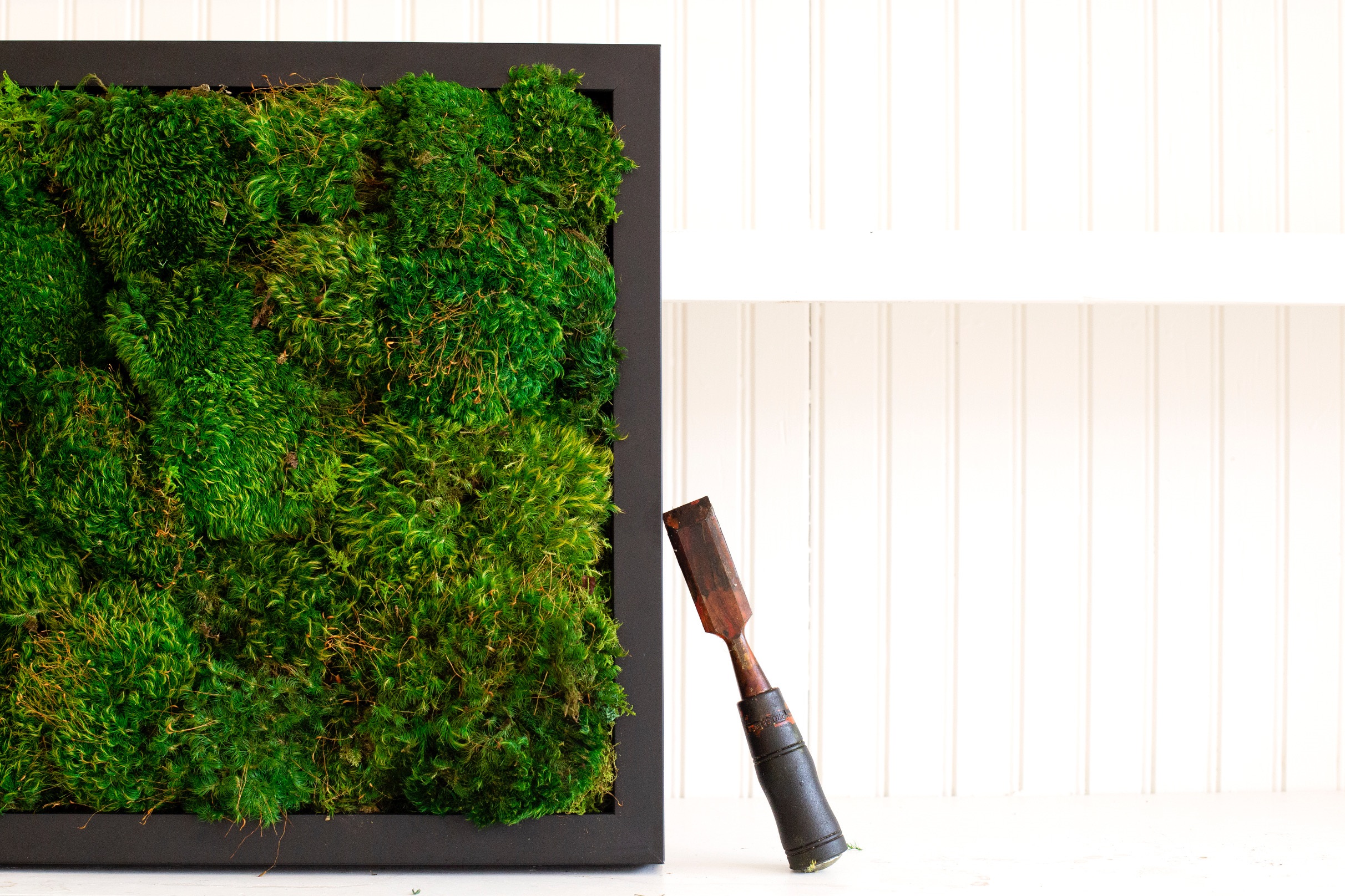 A pillow moss frame is placed atop wainscoting.  