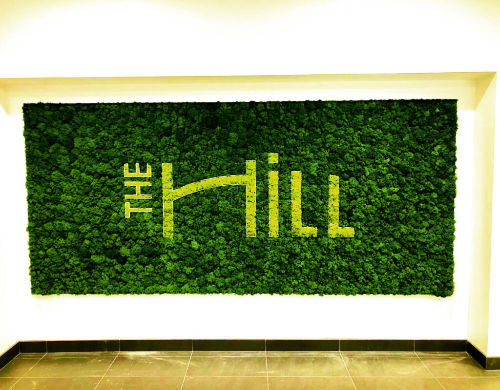 Why Biophilic Design Is Good For You: And "Bio" Terminologies Defined ...