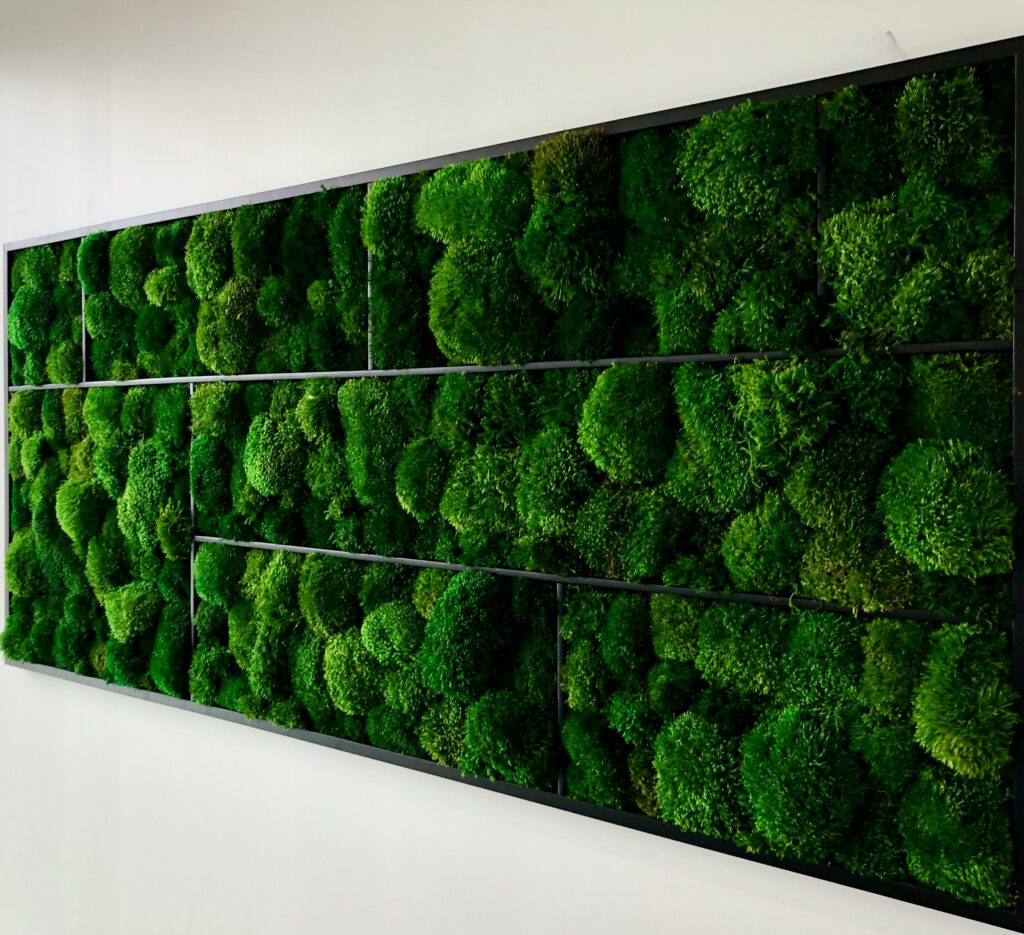 Why Biophilic Design Is Good For You: And "Bio" Terminologies Defined ...
