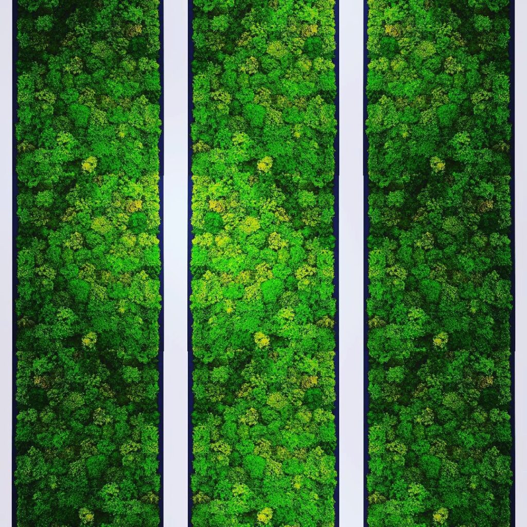 Why Biophilic Design Is Good For You: And "Bio" Terminologies Defined ...