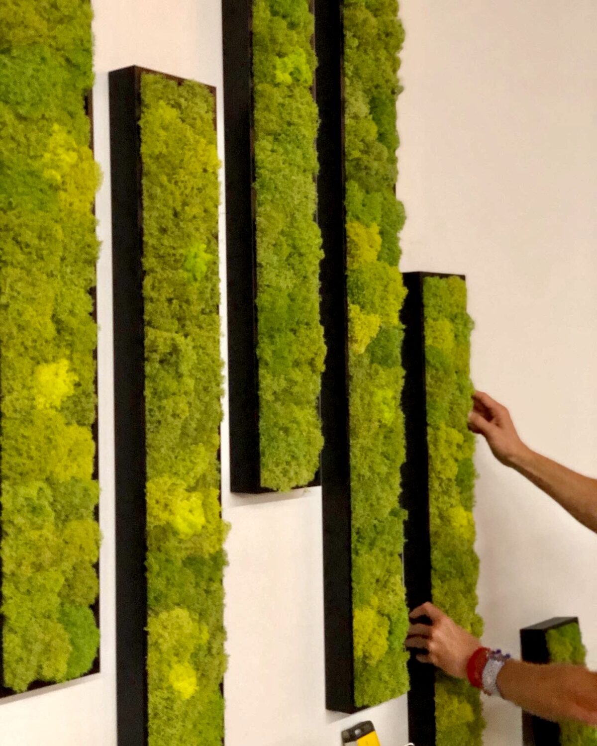 Green is the New Black: Why Green & Our List of Green Products and ...