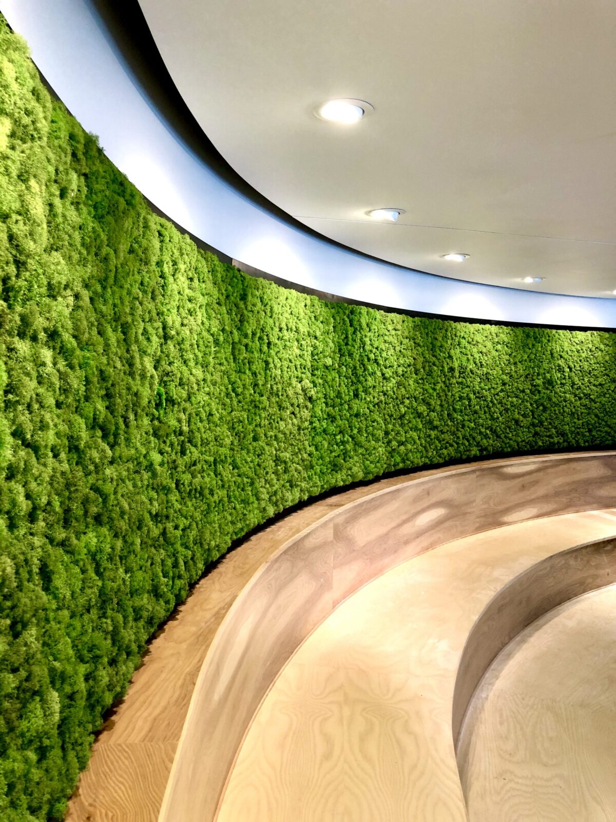 Moss in the Workplace, Going Green