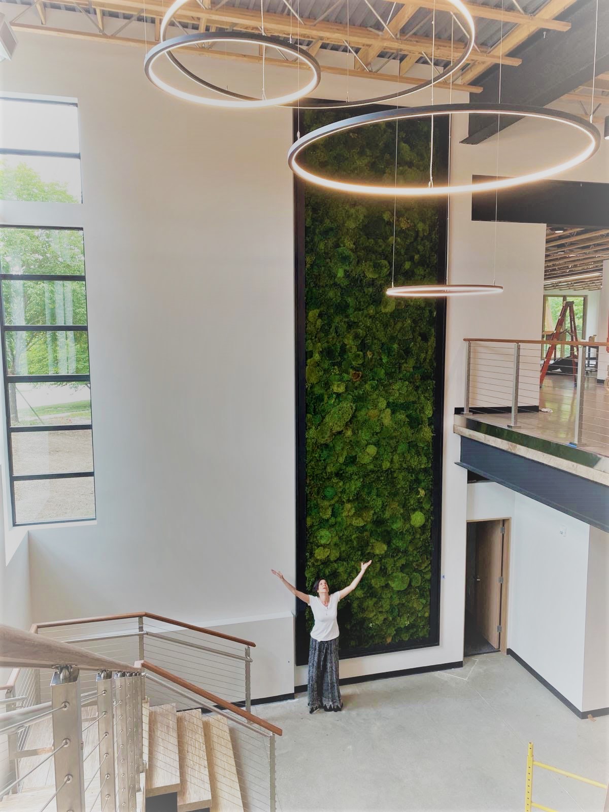 Moss Walls versus Living Walls Which is the Best Choice for Your Needs and Desires Fat Plant