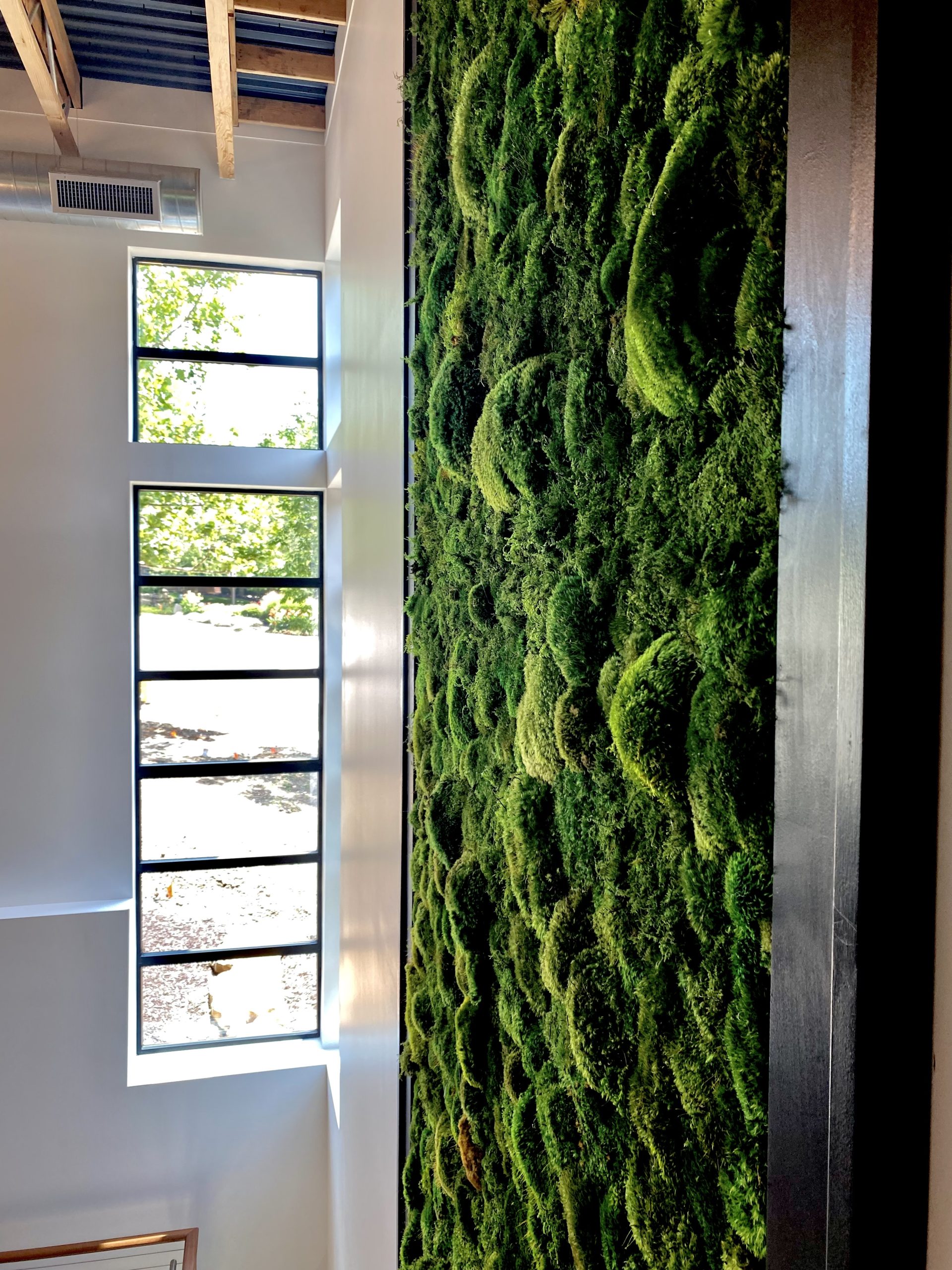 Moss & Plant Pillars: Moss 3D Wall Designs