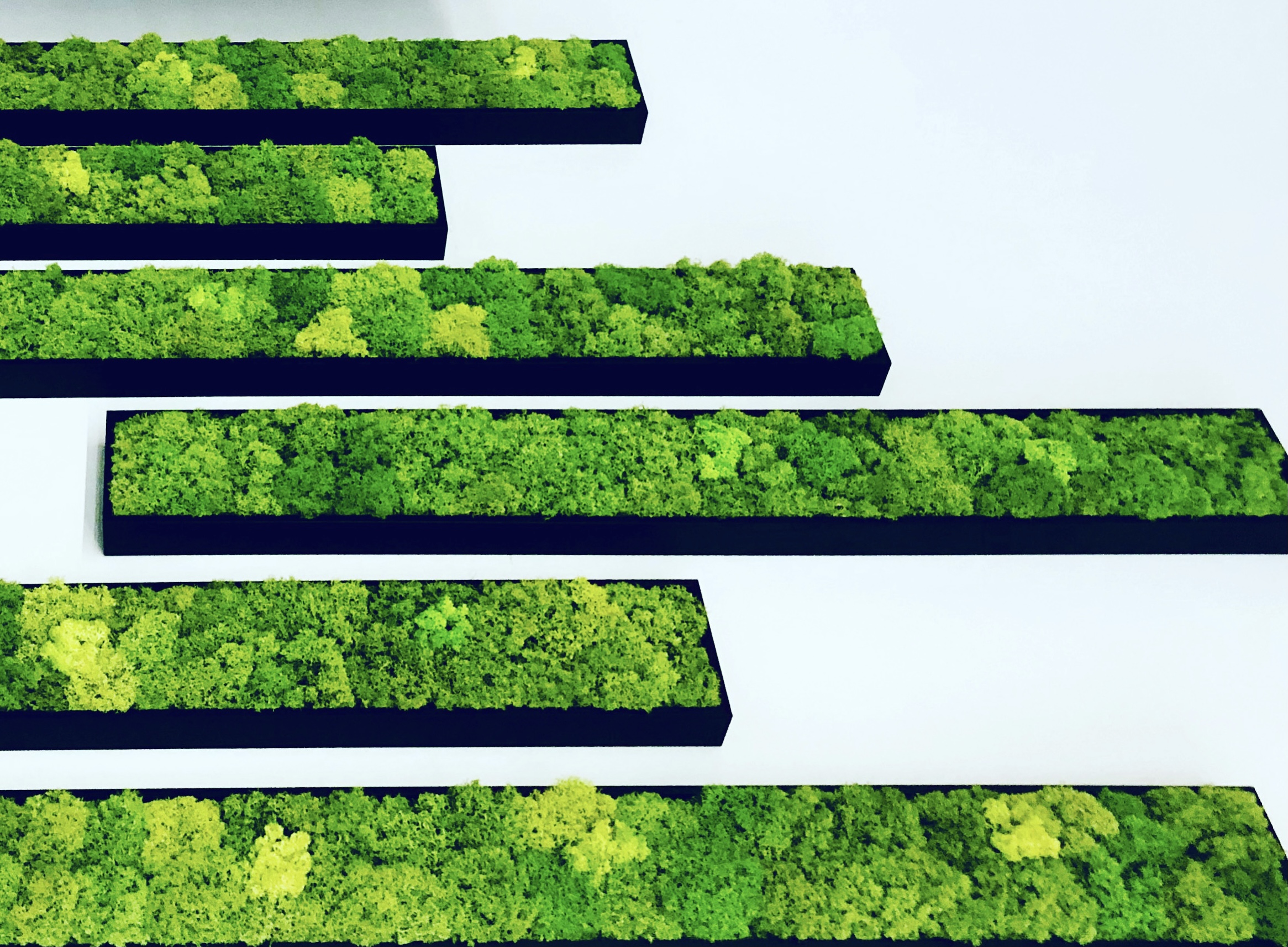 Six thin panels filled with bright green moss are positioned horizontally in this photo.