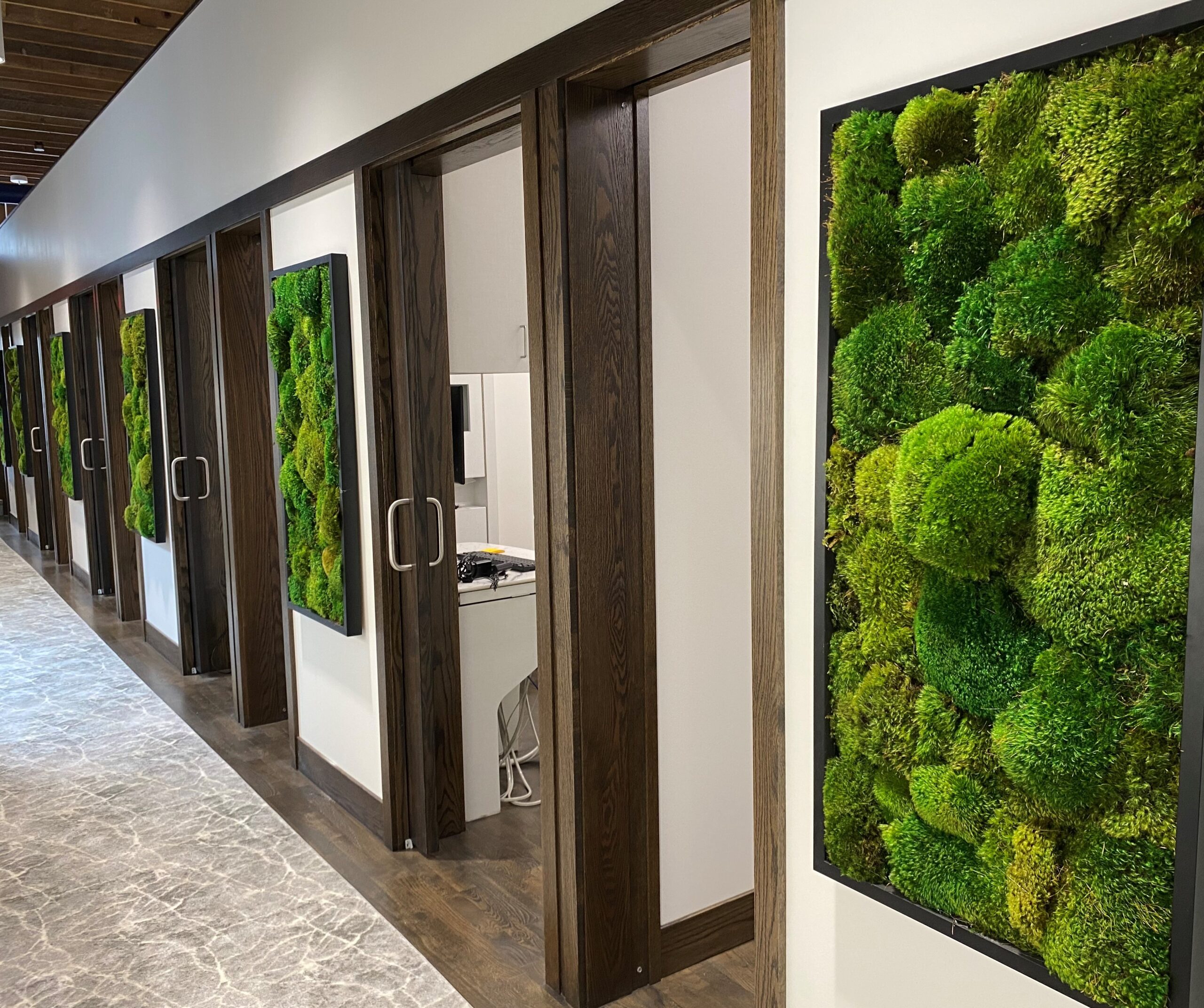 A row of deep green moss in matte black frames line the hallway of the patient rooms at River Market Dental. 