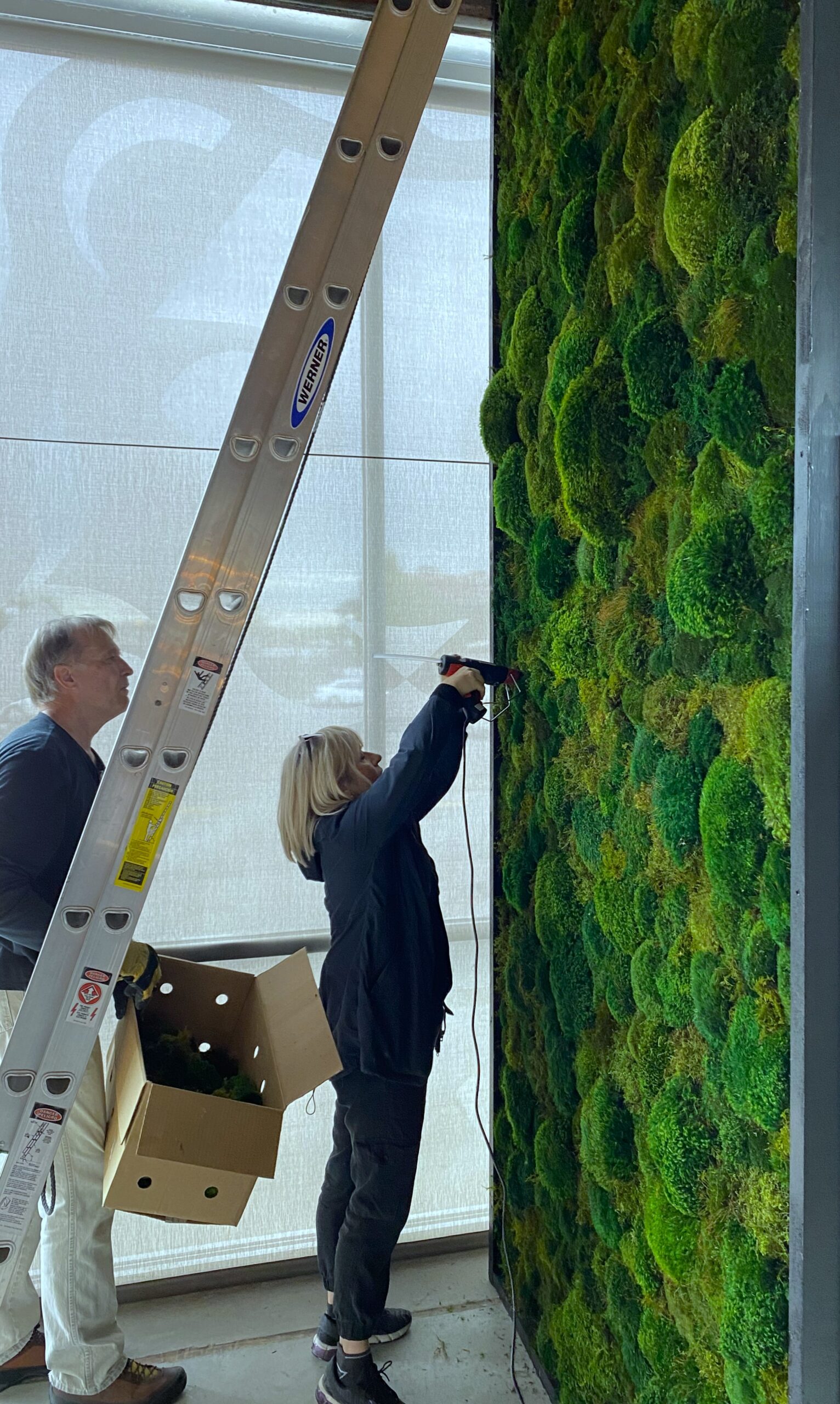 Moss wall installation in Hogshead KC located on the plaza in Kansas City, MO.