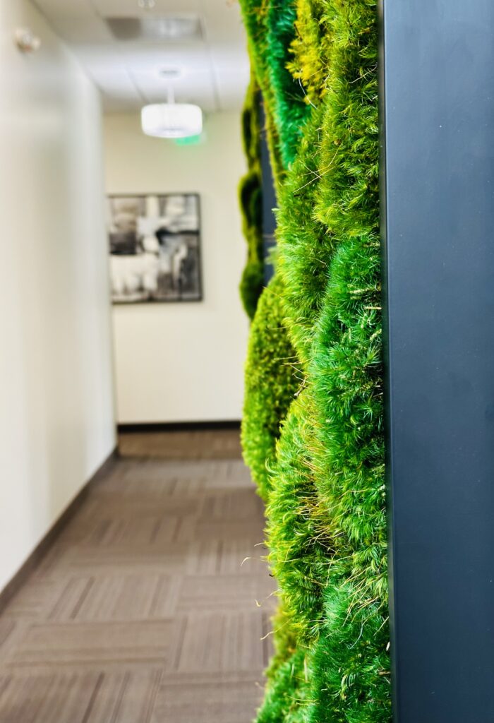 Photo of a lush, green, textured pillow moss design. This design addresses five of the 14 Patterns of Biophilic Design as put forth by Terrapin Bright Green. 