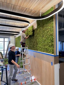 Moss wall installation
