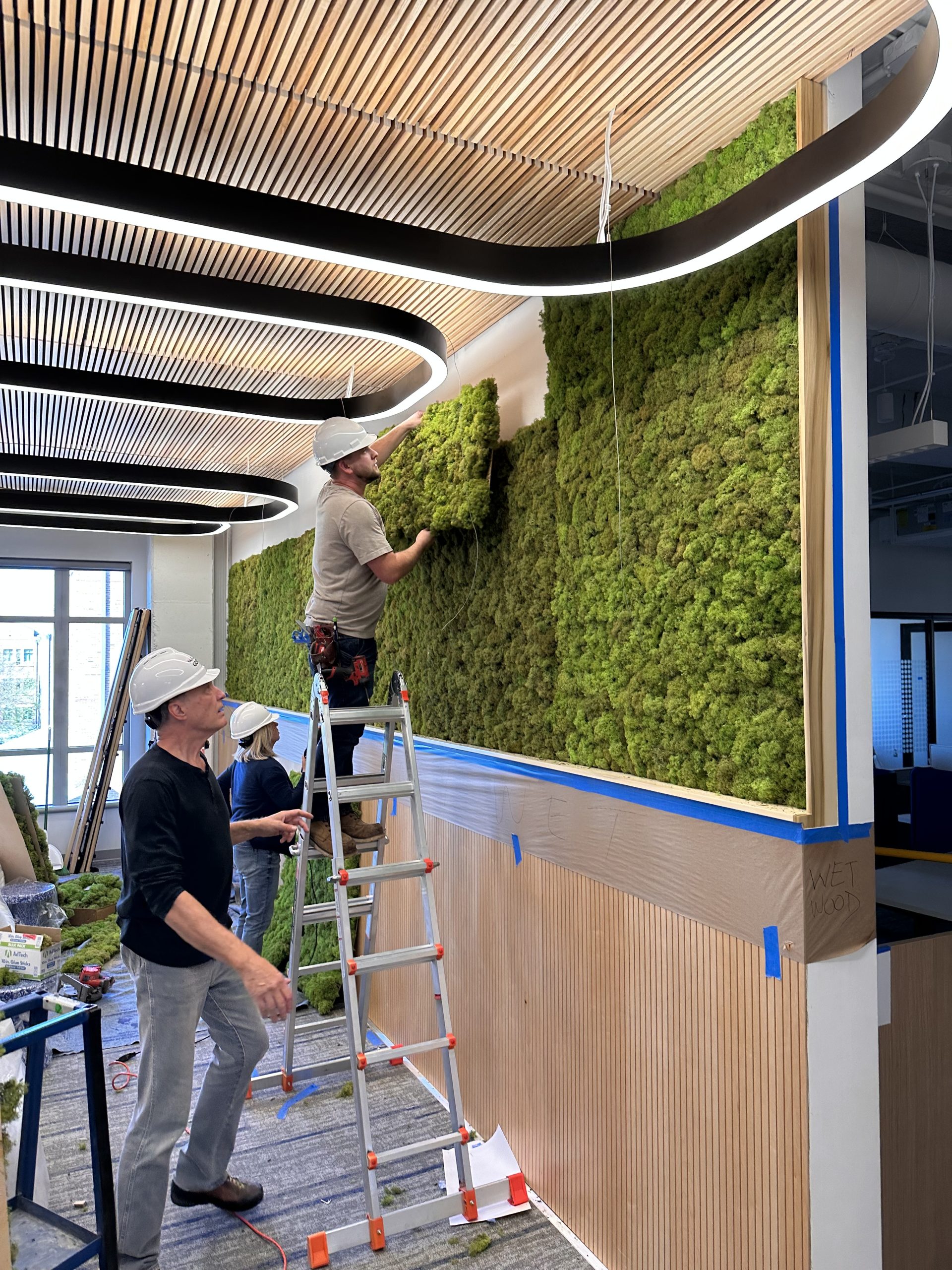 Beyond Aesthetics: Why 2026 Research Confirms Biophilic Design is ...